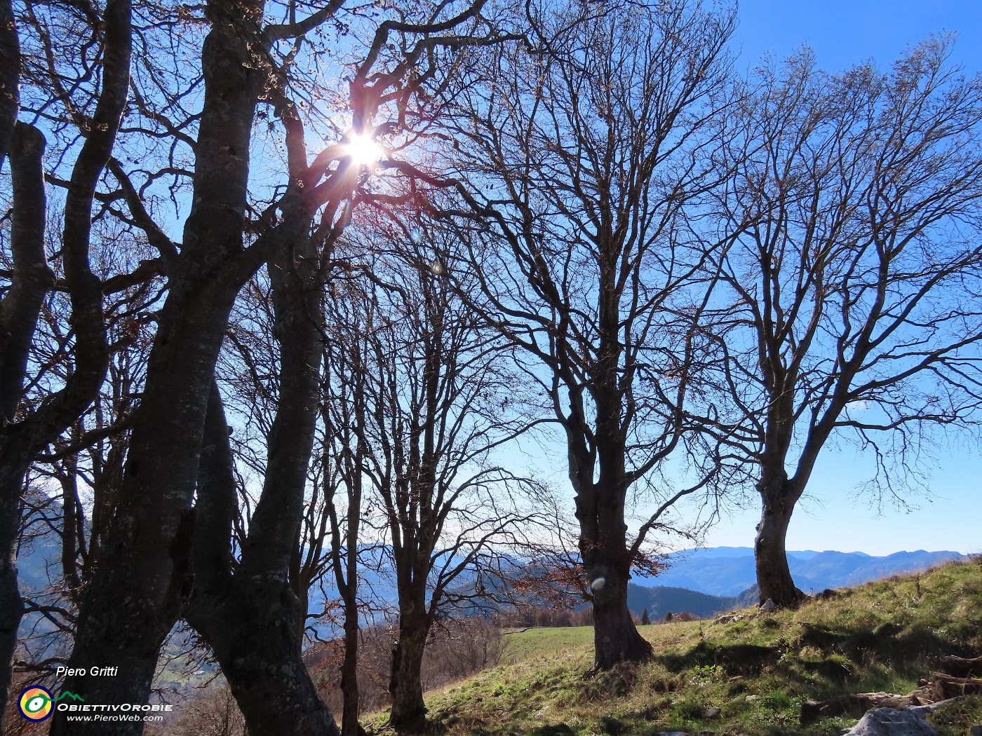 37 Faggi secolari del Menna.JPG